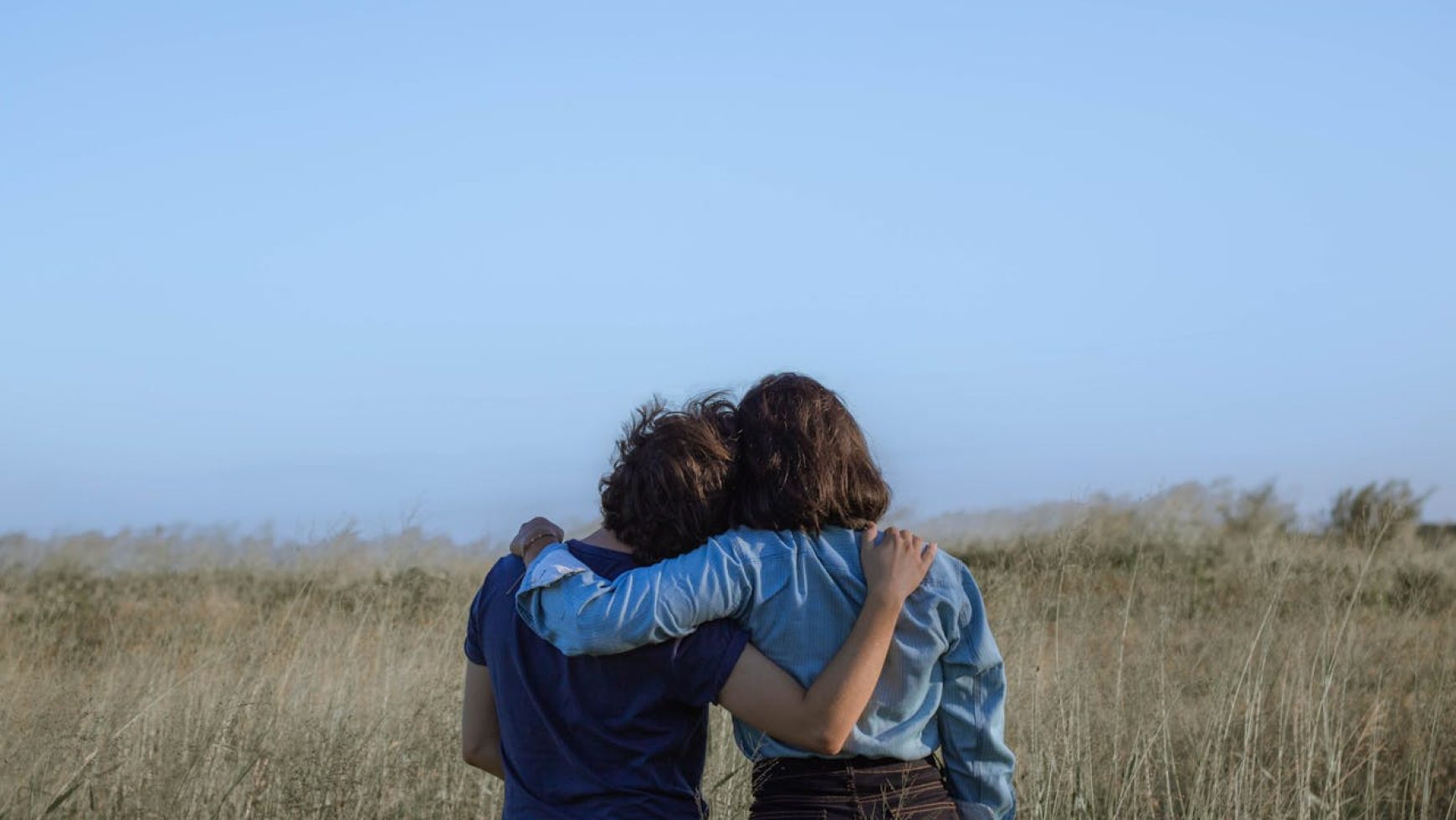 The Dynamics of Friendship: What Happens in Platonic Relationships