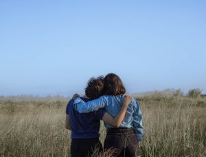 The Dynamics of Friendship: What Happens in Platonic Relationships